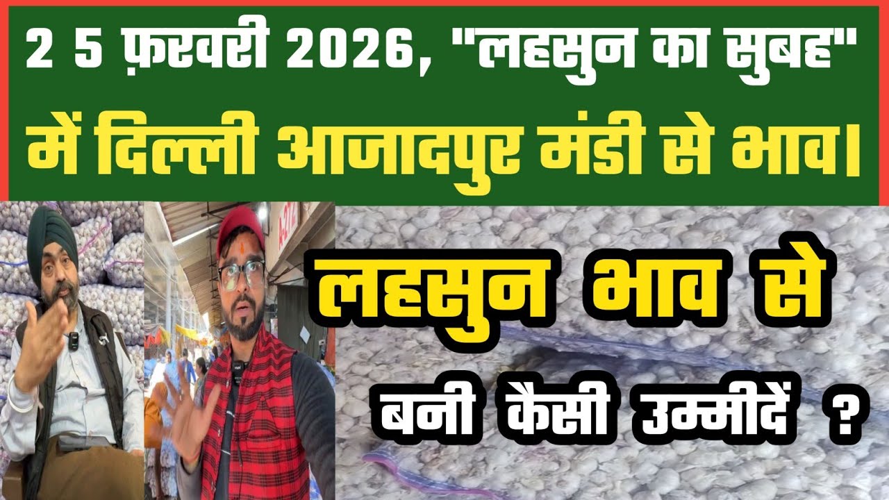 आज लहसुन में बाज़ार कैसा ? Azadpur Delhi Mandi Today 25-02-2026 को बने ऐसे Garlic Price DMT TV