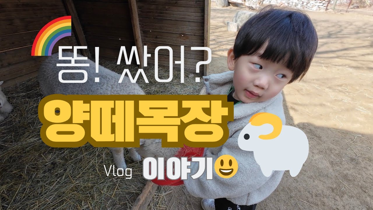 [양평]양떼목장🐑| 🌈아이랑갈만한곳 