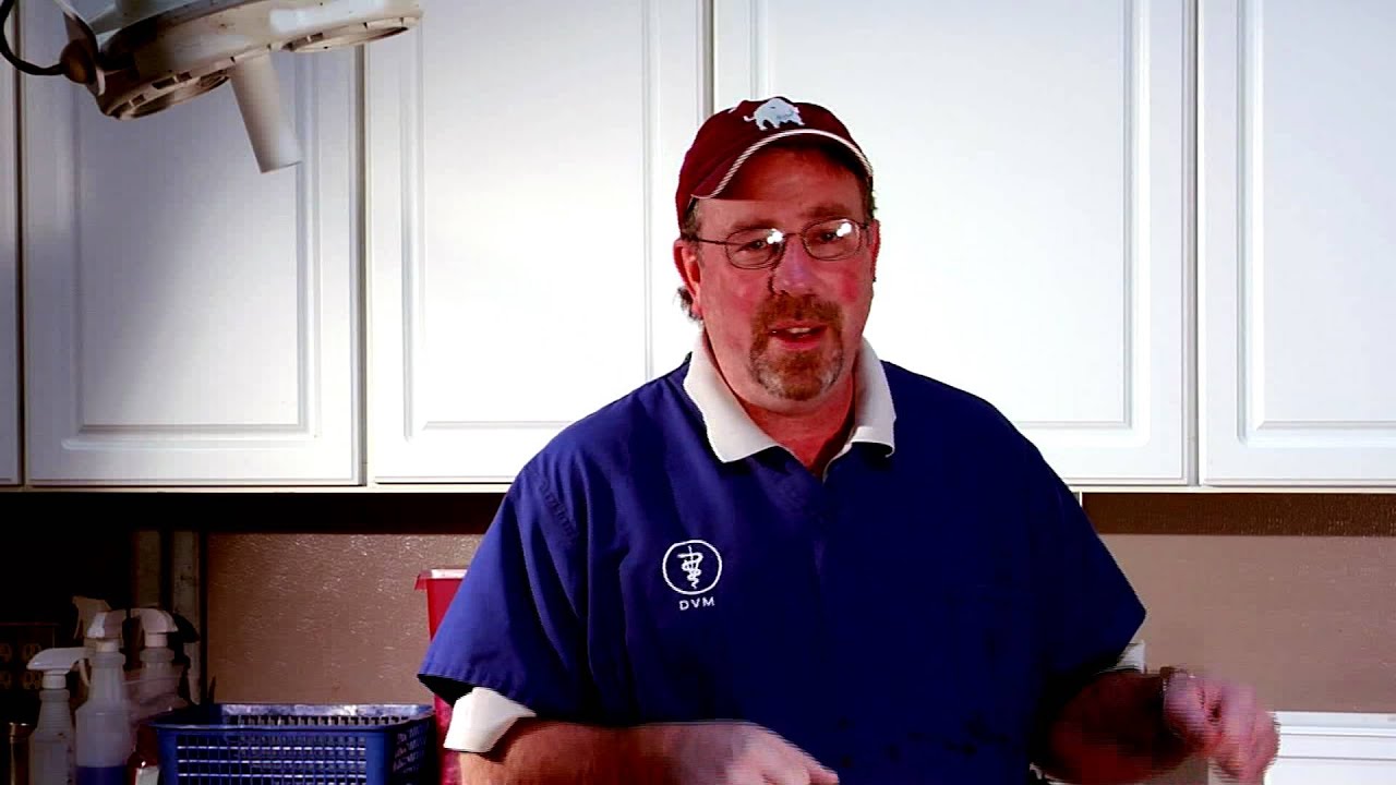 Tips from the Vet - Scours