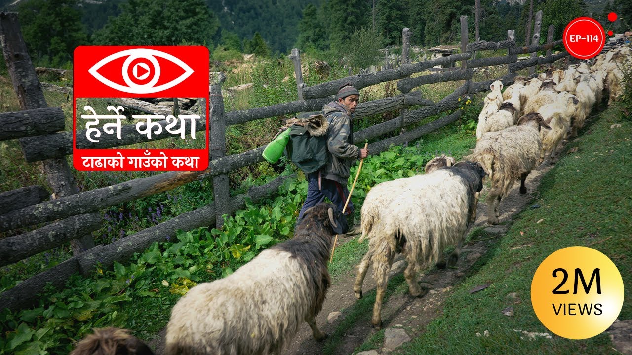 टाढाको गाउँको कथा । Tadhako Gaun ko Katha । Herne Katha EP114 । हेर्ने कथा