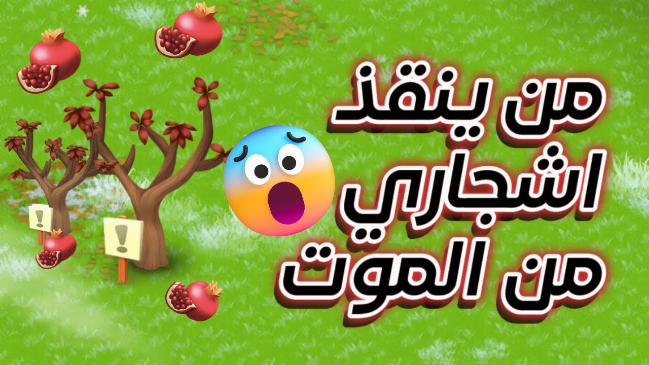 الحصاد الثالث للرمان 🥳 في هاي داي