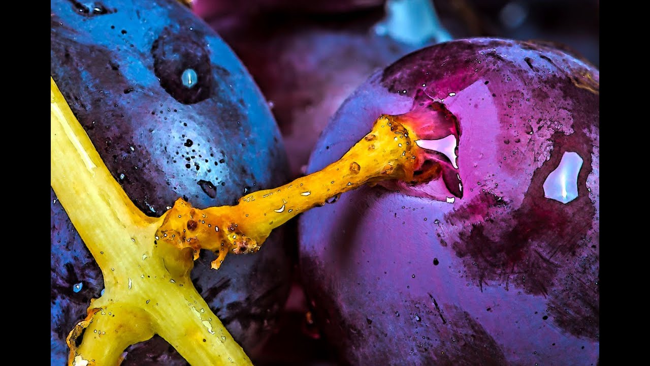 Abstract Macro Grapes - Creative Photography Ideas - MacroWorld
