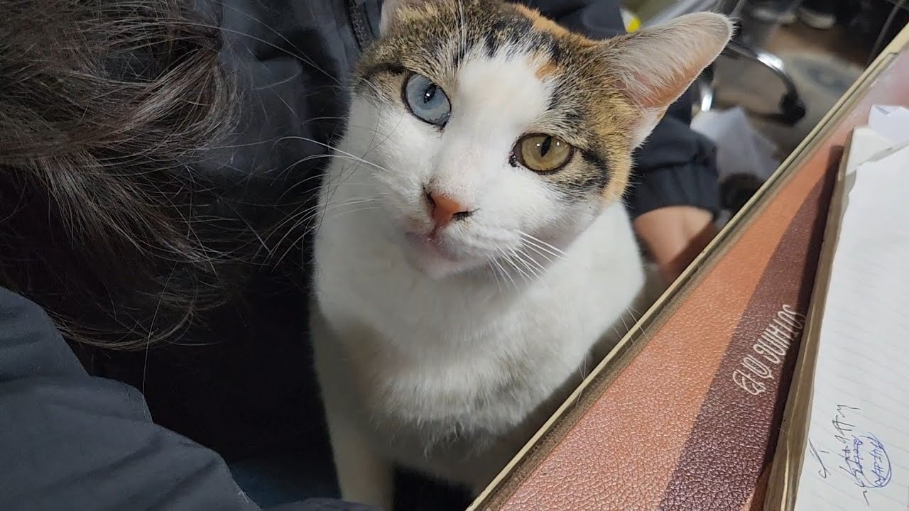 차장님 품 안의 보물이