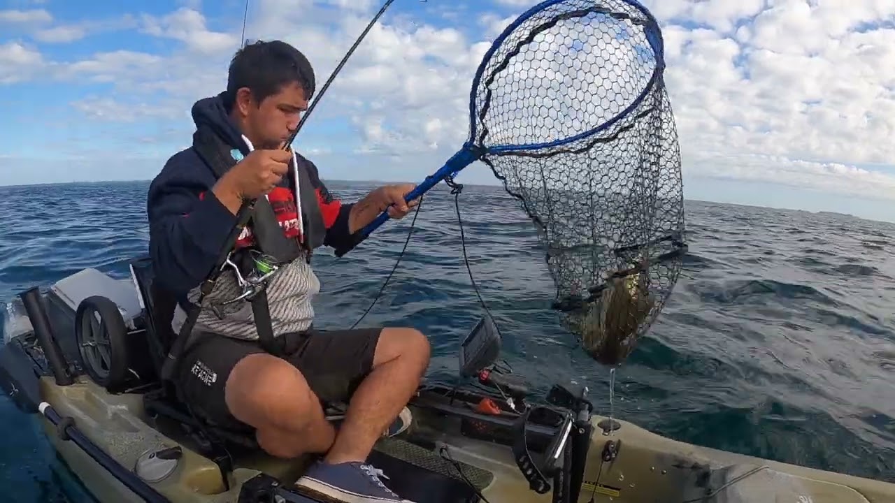 p&ecirc;che lieu jaune en kayak