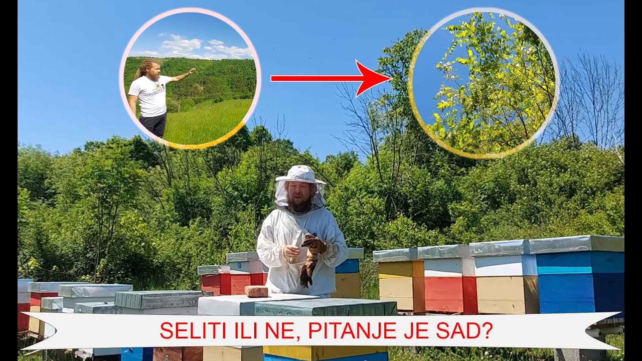 BAGREM 2024- MOGUĆA SELIDBA- ispitivanje lokacije