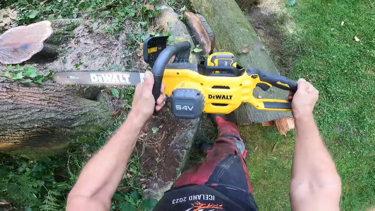 Felling a red oak with the Dewalt DCMCS575X1 accu chainsaw