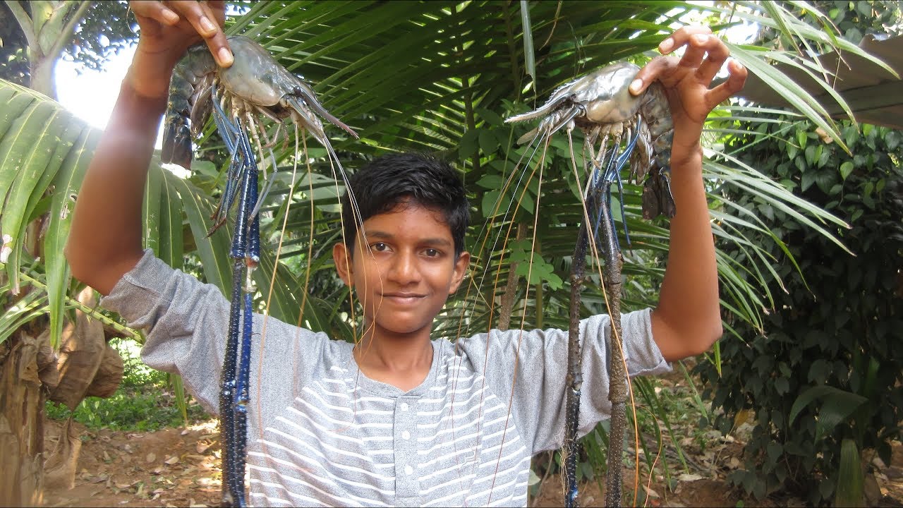 Village food factory / BIG Prawn Gravy Recipes Cooking by my Family in my village / rainbow lobster