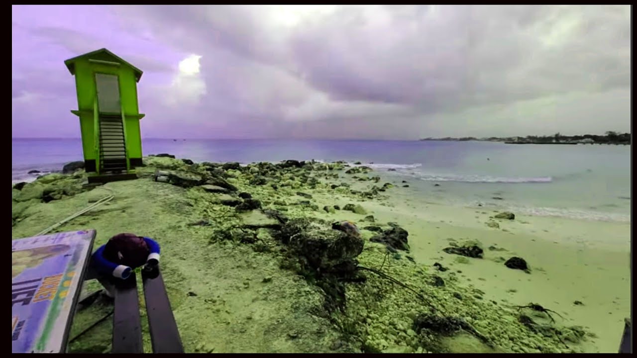 July 02, 2024 - The Beaches after Beryl Enterprise & Miami with J (Barbados Live)