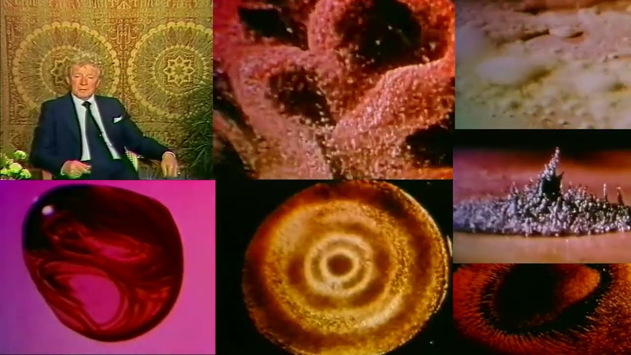 Cymatics Clip & Oscilloscope chat