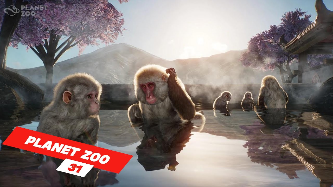 Construction of Japanese Macaque enclosure begins | ep 31 | Planet Zoo | ZwollywoodZz