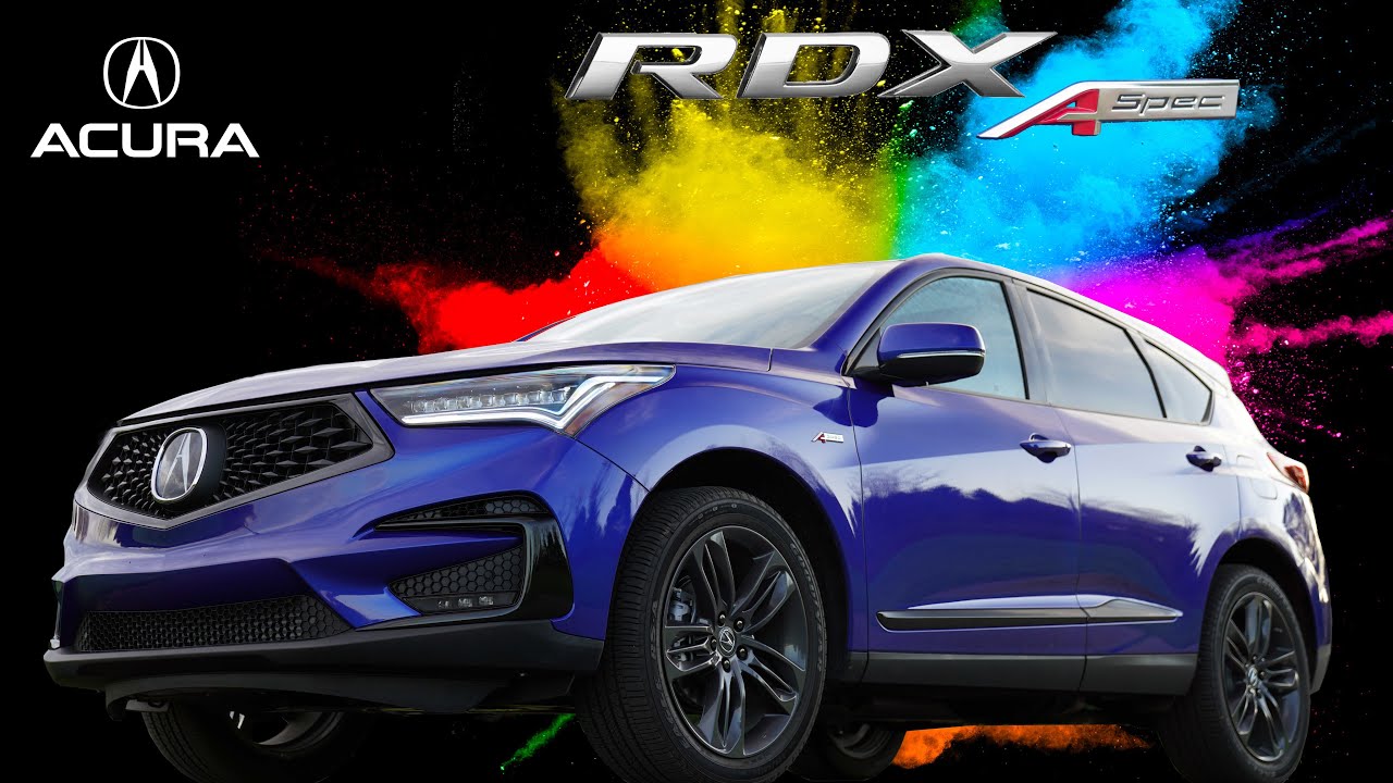 2020 Acura RDX A-Spec: Andie the Lab Review!