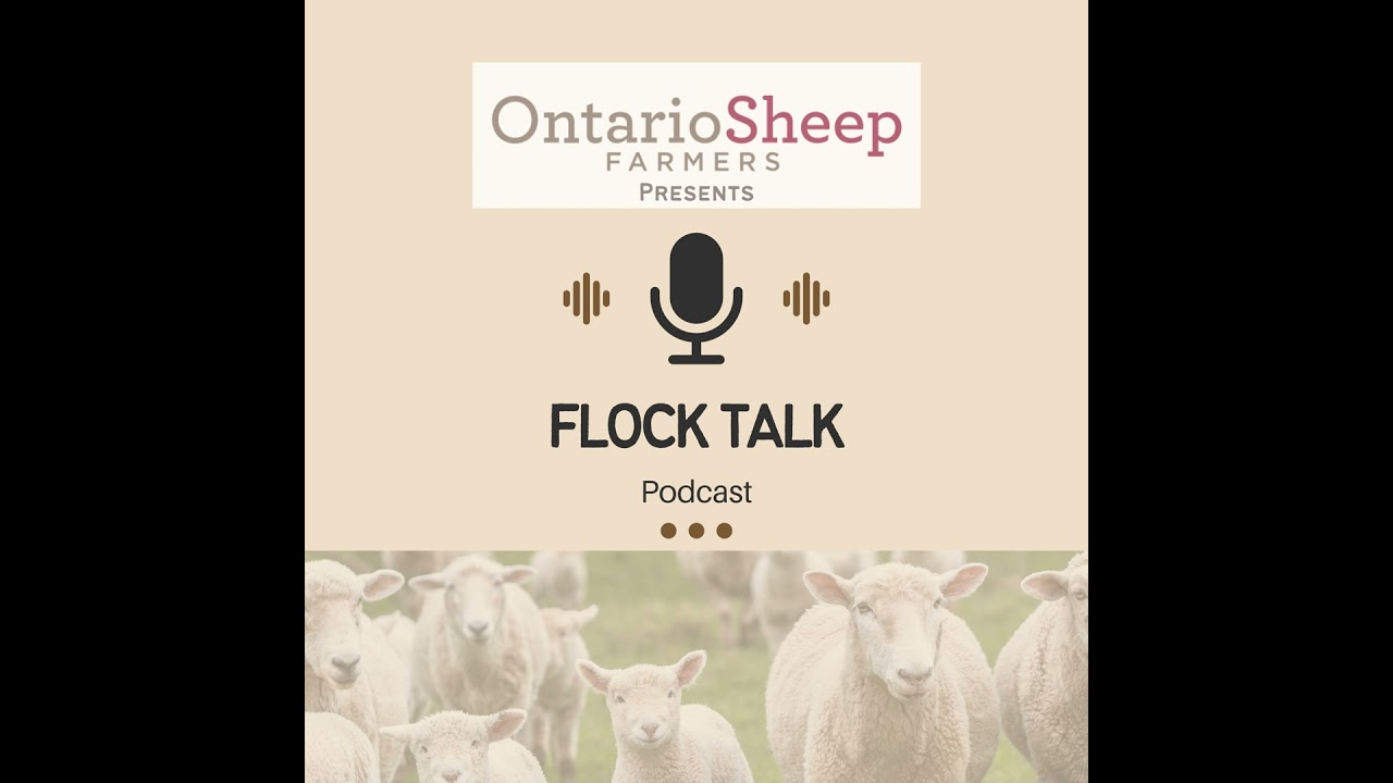 Building a Modern and Resilient Canadian Wool Ecosystem with Jane Underhill