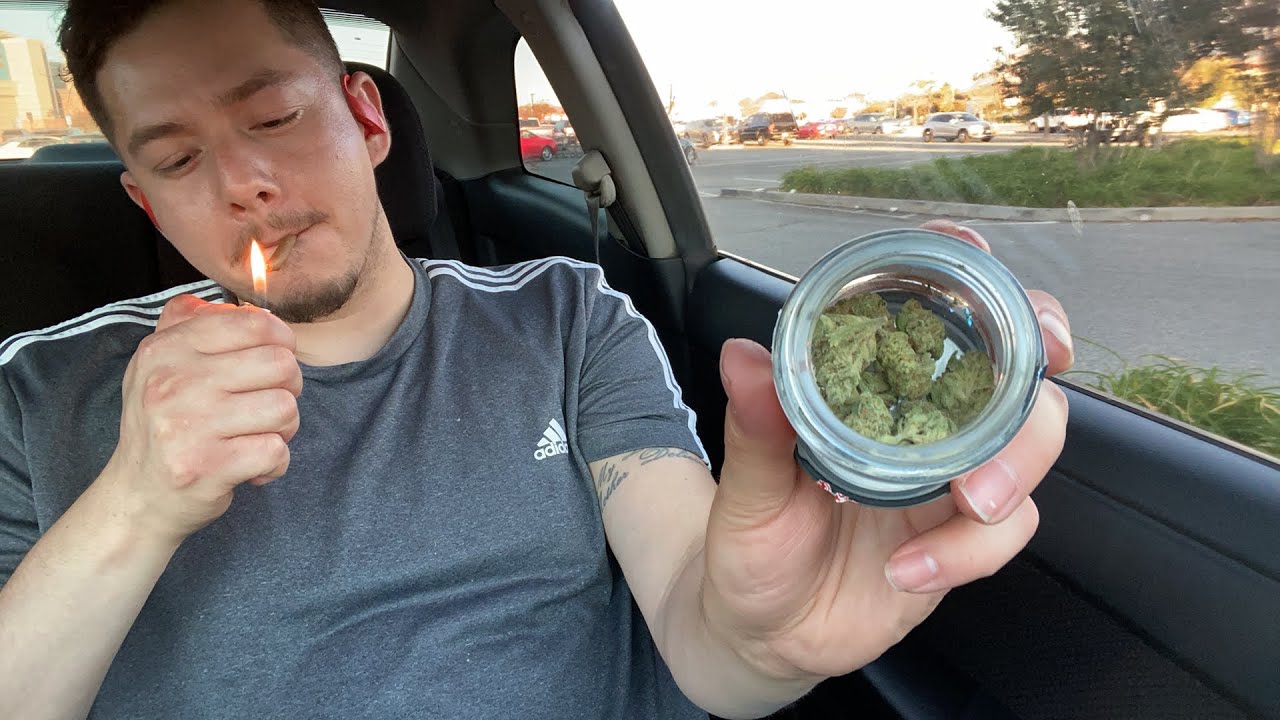 Blunt Break (Blue Cookies)