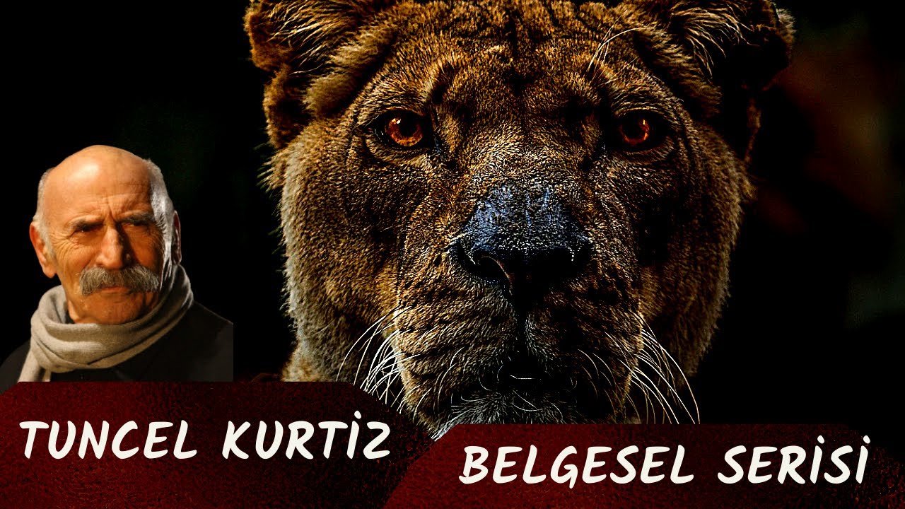 Belgesel - 1 Tuncel KURTİZ