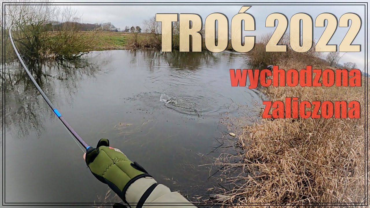 JEST PIERWSZA !!! TROĆ 2022 - Dzień na rzece INA #62