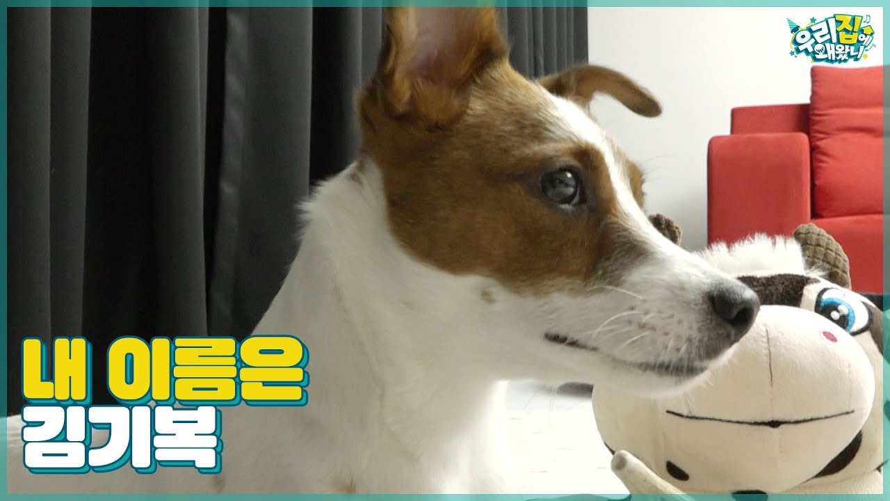 Hey 모두들 안녕~ 내가 누군지 아늬? My name is 김기복☆ [우리집에 왜왔니] 12회