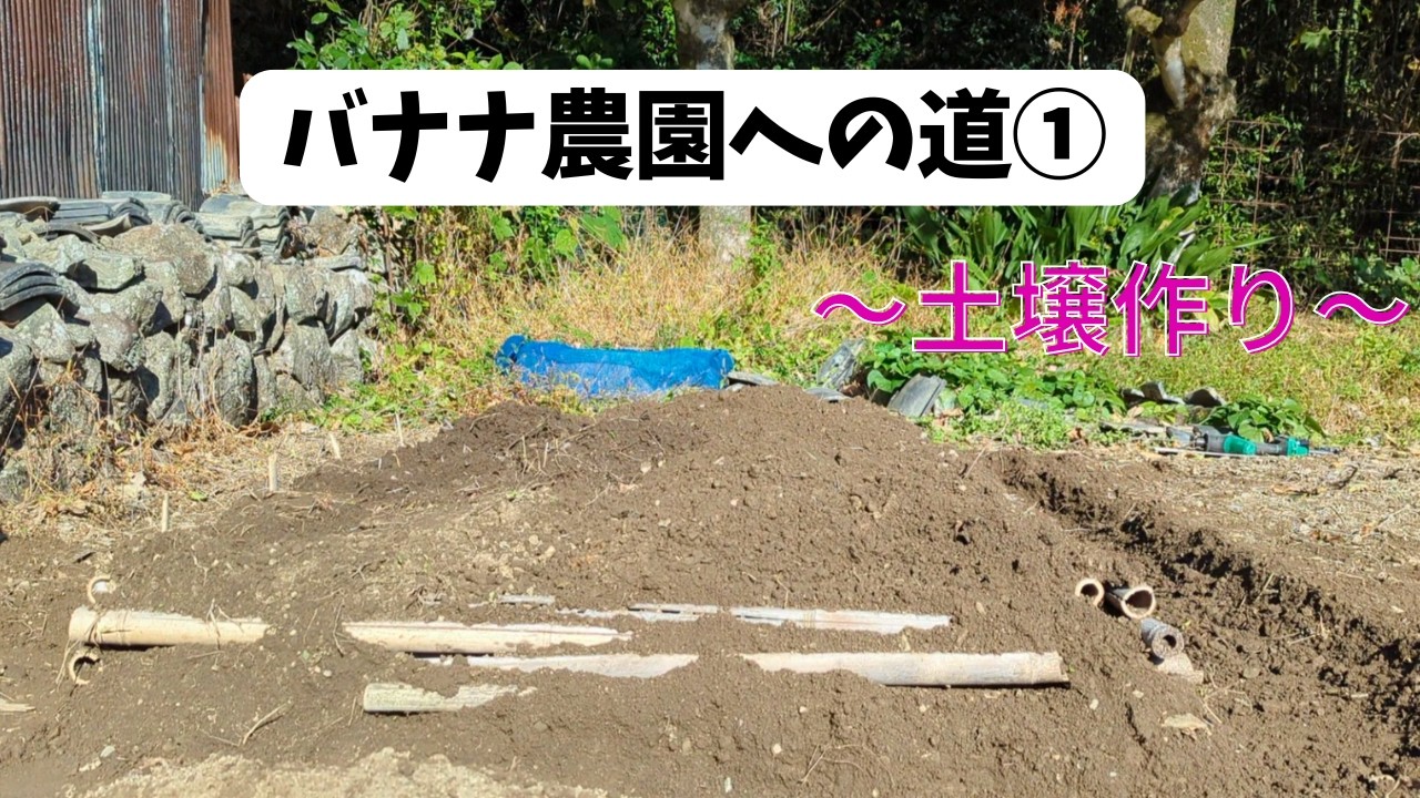 バナナ農園への道①　 ～土壌作り～