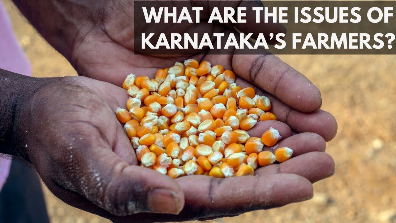 Karnataka Assembly Elections: What are the issues of Karnataka&rsquo;s Farmers?