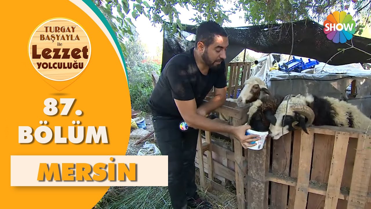 Turgay Başyayla ile Lezzet Yolculuğu 87. Bölüm | Mersin