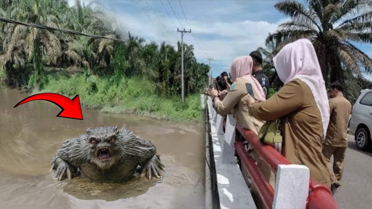 If These Creatures Were Not Filmed No One Would Have Believed it!