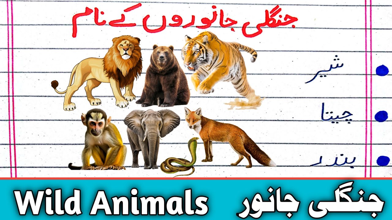 10 Jangli Janwaron Ke Naam Urdu Mein  | Janwaron Ke Naam Urdu Mein | 10 Wild Animals Name