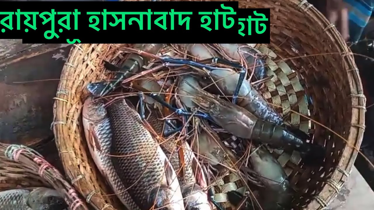 নরসিংদী জেলার রায়পুরা থানার হাসনাবাদ হাট।