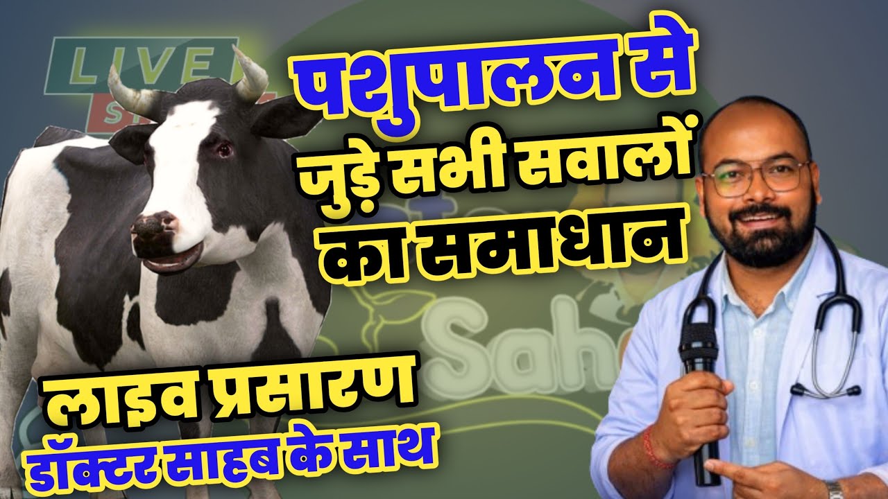 गाय भैंस से संबंधित सीधी बातचीत । Live Telecast