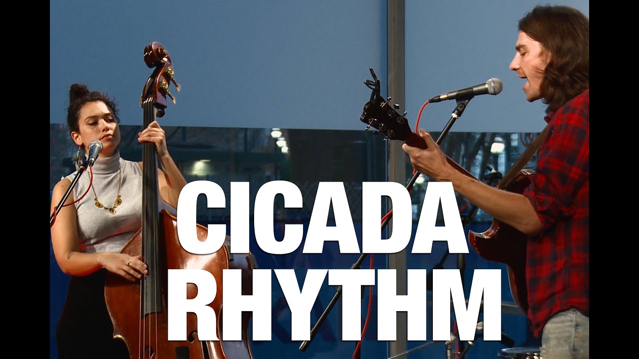 Cicada Rhythm 