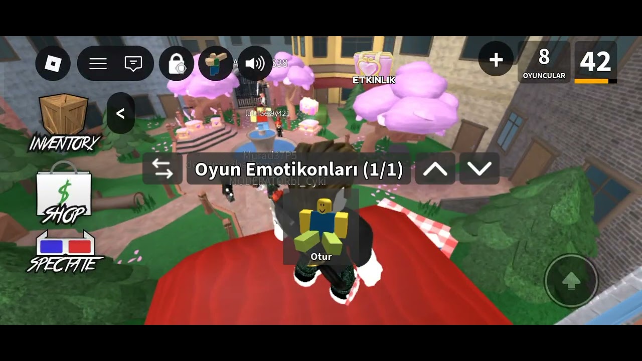 Roblox videosu