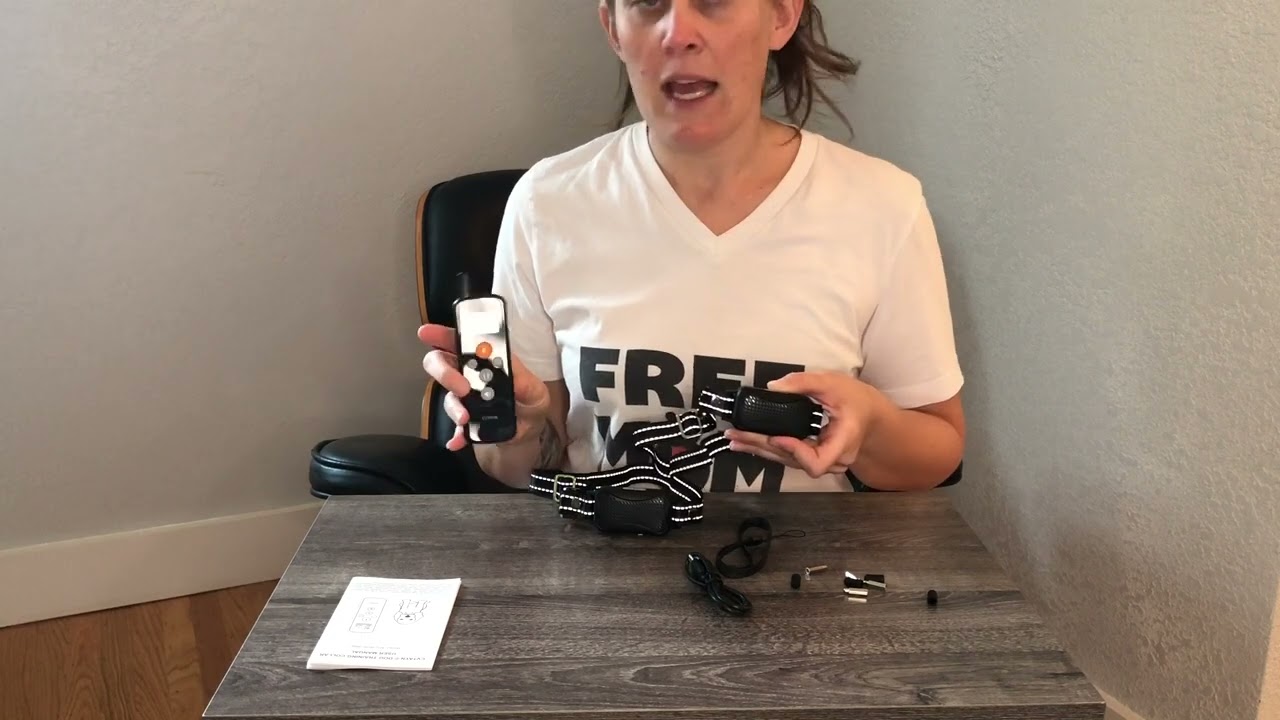 Review of Dog Training Collar for 2 Dogs with Remote, Rechargeable Dog Shock Collar