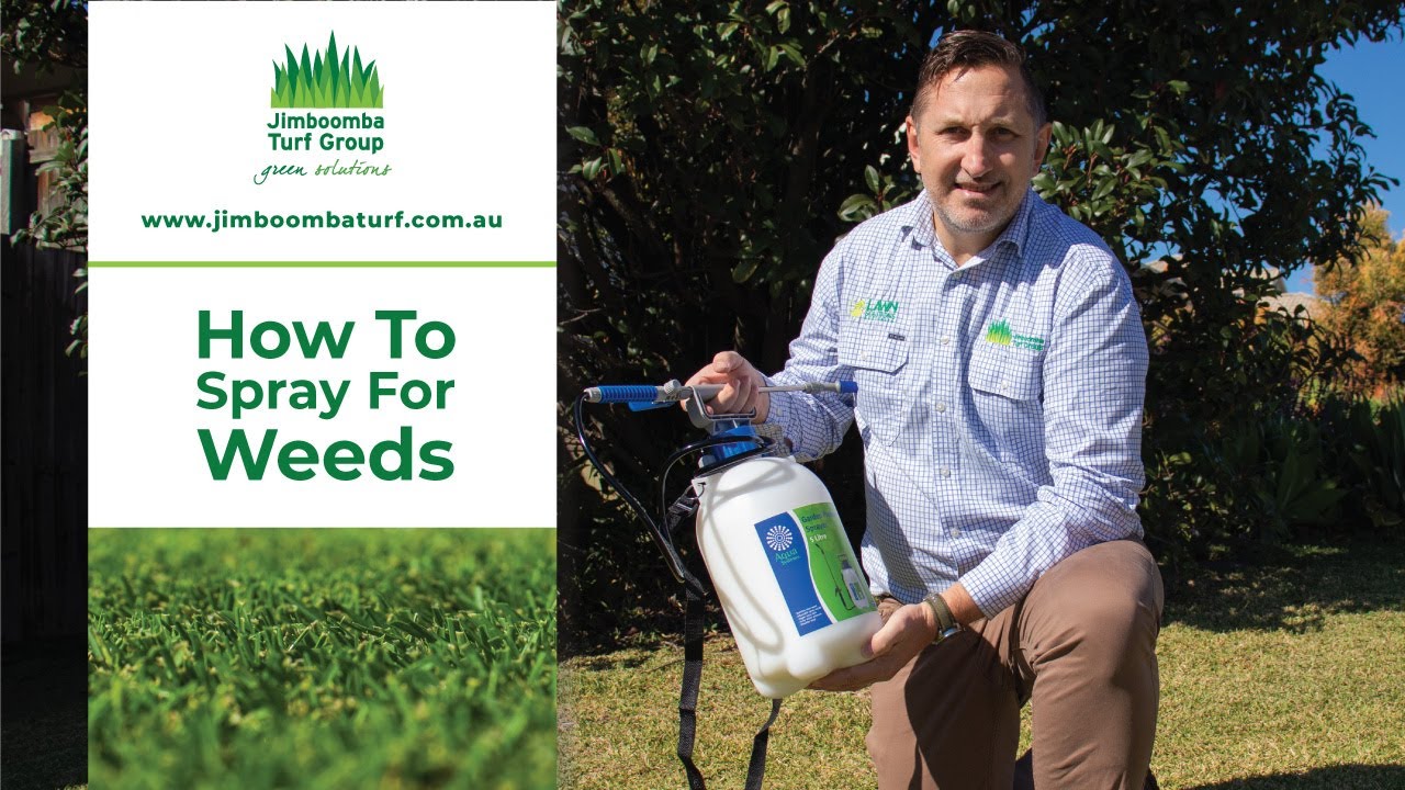 How To Spray For Weeds | Jimboomba Turf