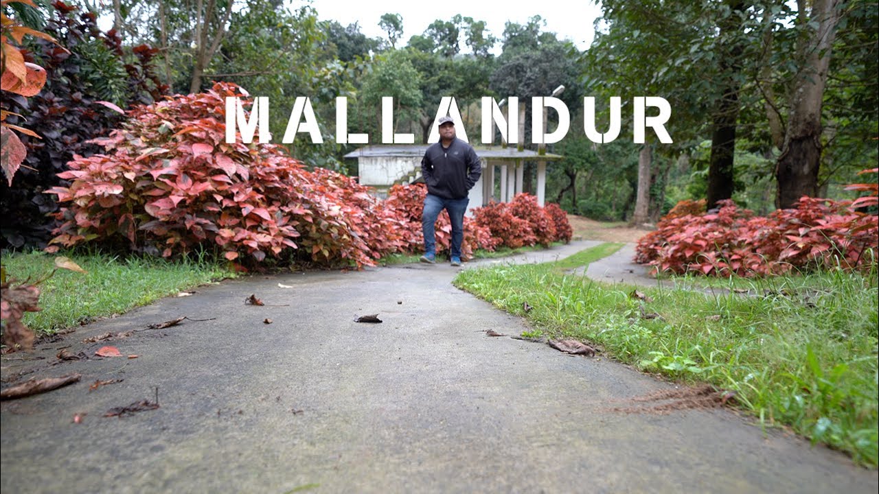 Most beautiful village in Chikamagaluru | Mallandur Homestay | Hirekolale Lake | Malaluramma Temple