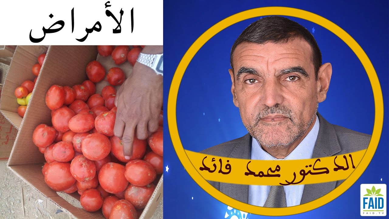 الأمراض بسبب العمل| الدكتور الفايد