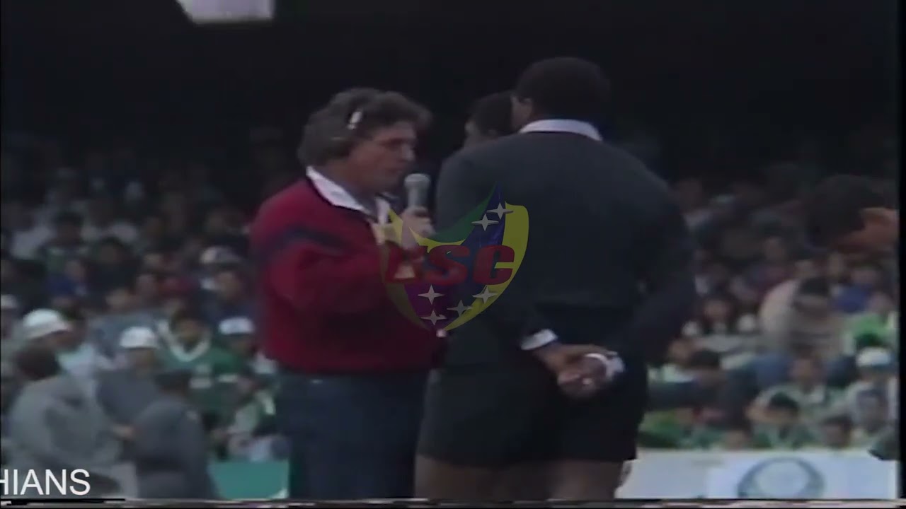 FINAL PAULISTÃO 1993 - PALMEIRAS 4 X 0 CORINTHIANS - 2 JOGO