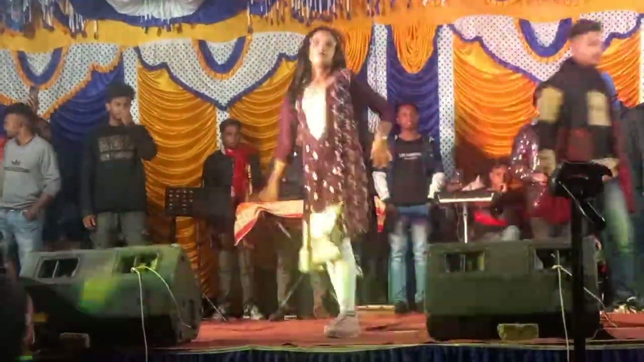 রাজশাহী বাঘা 4