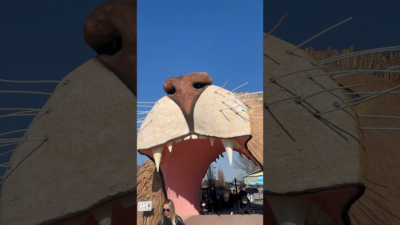 Zoolo&scaron;ki vrt Bingo ZOO Tuzla #zoo #zooloski #vrt #bingo #tuzla #životinje #park #bosnaihercegovina