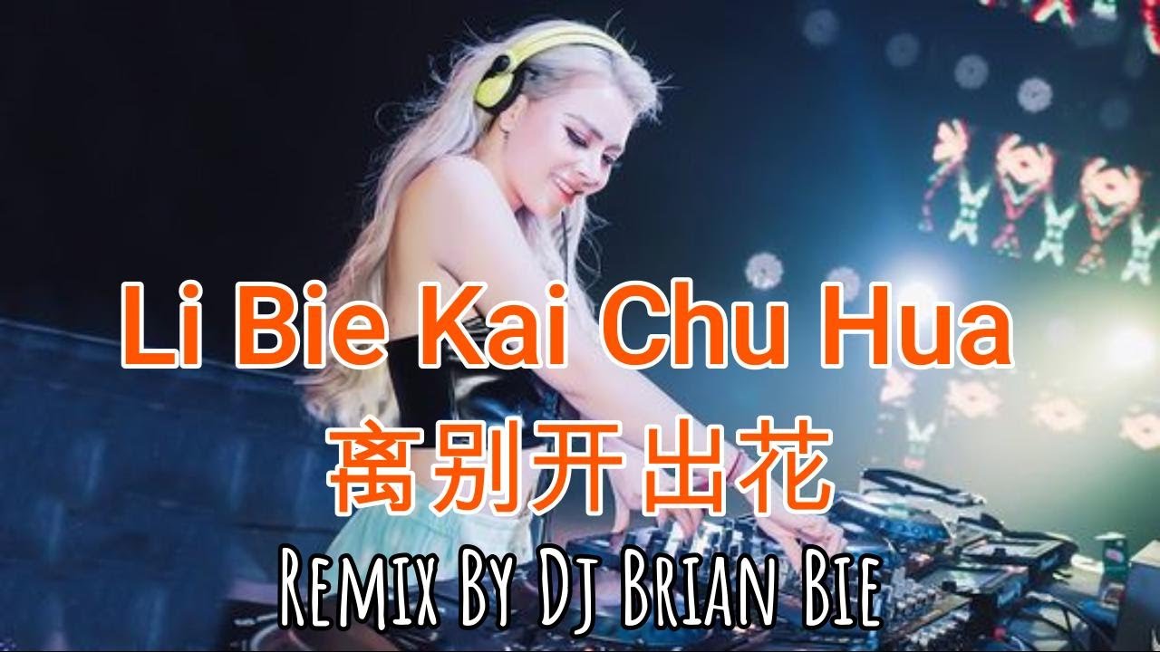 Li Bie Kai Chu Hua - 离别开出花 (Electro Manyao) By Dj Brian Bie #djmanyao #manyao2024 #manyaoremix