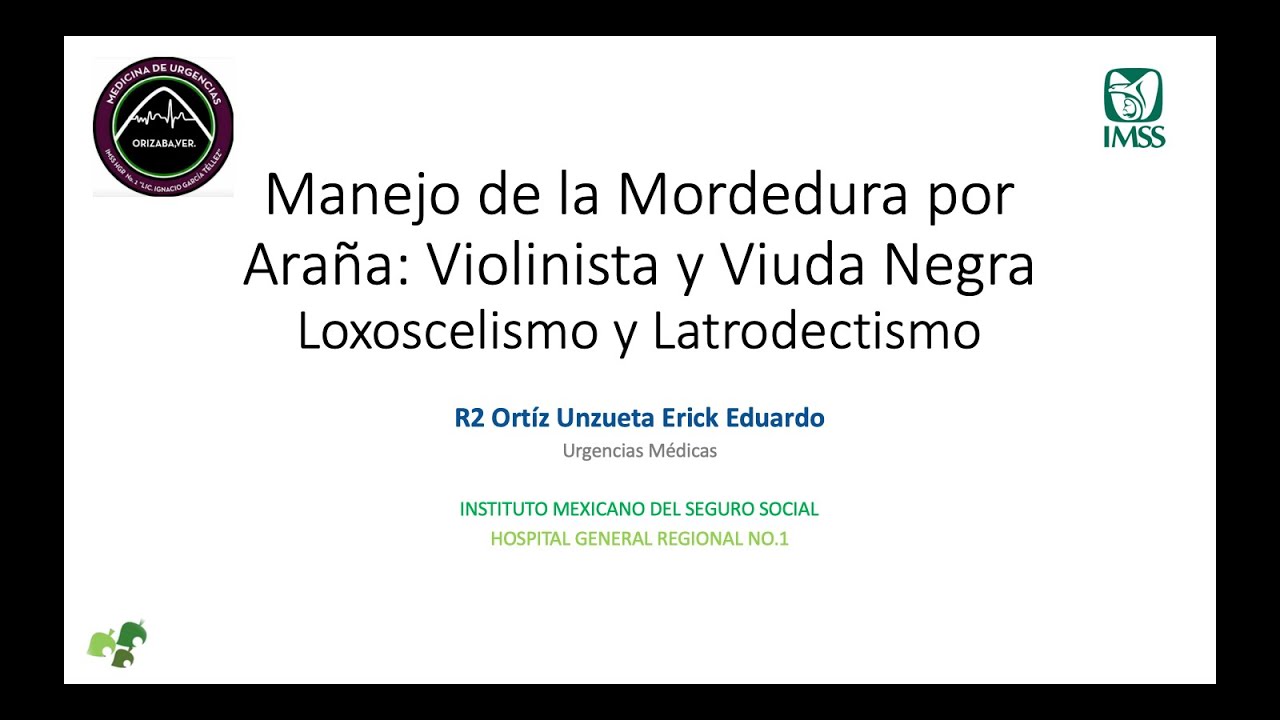 Manejo de la Mordedura por Araña: Violinista y Viuda Negra Loxoscelismo y Latrodectismo