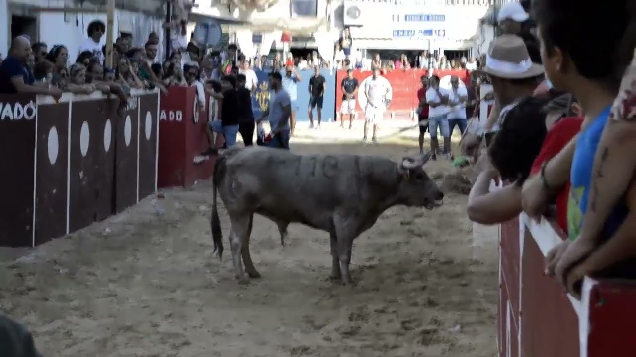 Festas do Barrete Verde e das Salinas de Alcochete   |   2022