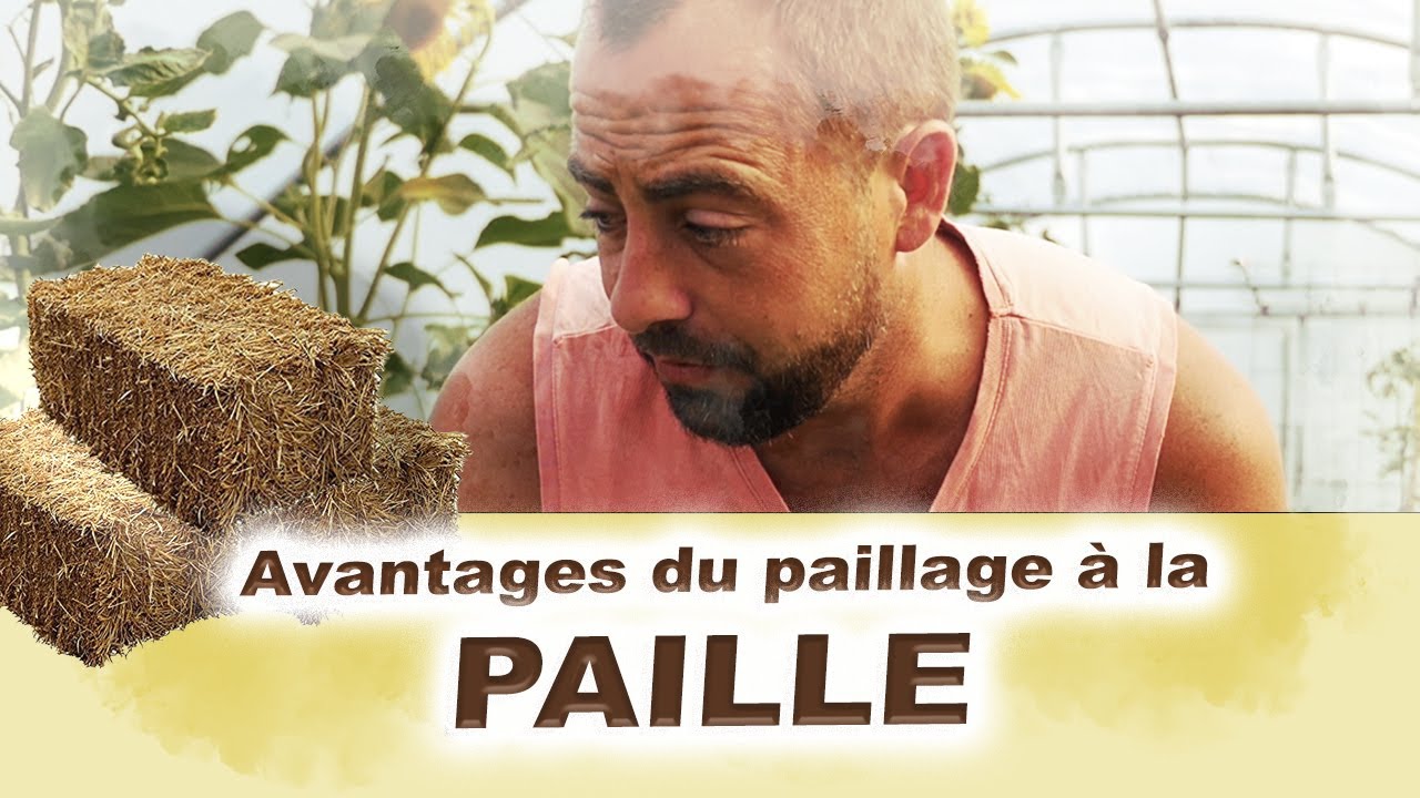 Les gros avantages du paillage à la PAILLE