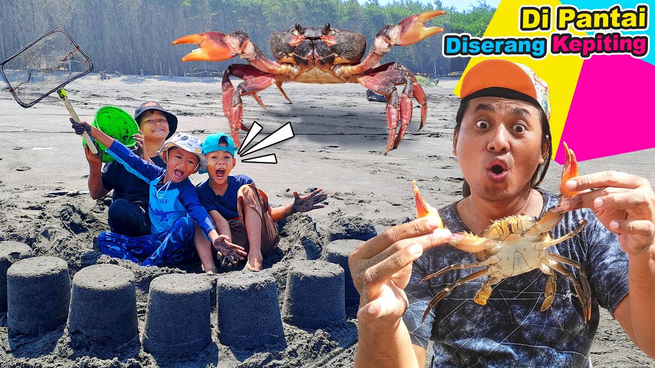 Praya Berburu Hewan Laut Di Pantai 🏝 Main Air & Pasir Tangkap Kepiting 🦀