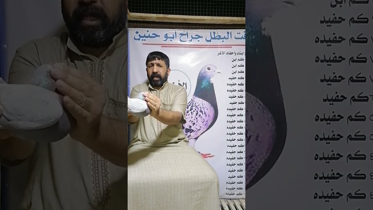 سلام عليكم اخوان نعرض لحضراتكم توضيح عن الأغر