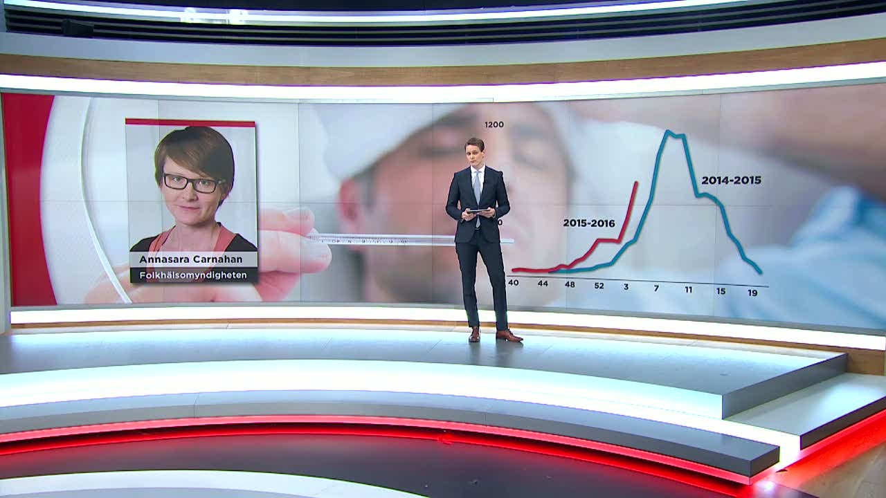 Svininfluensan exploderar: S&aring; allvarligt &auml;r det - Nyheterna (TV4)