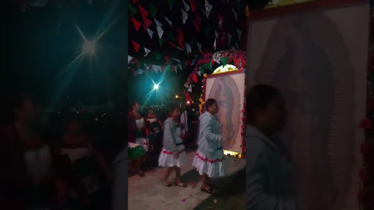 Danzade inditas carmelita y san Andrés Apóstol en Acatzintla chalma ver