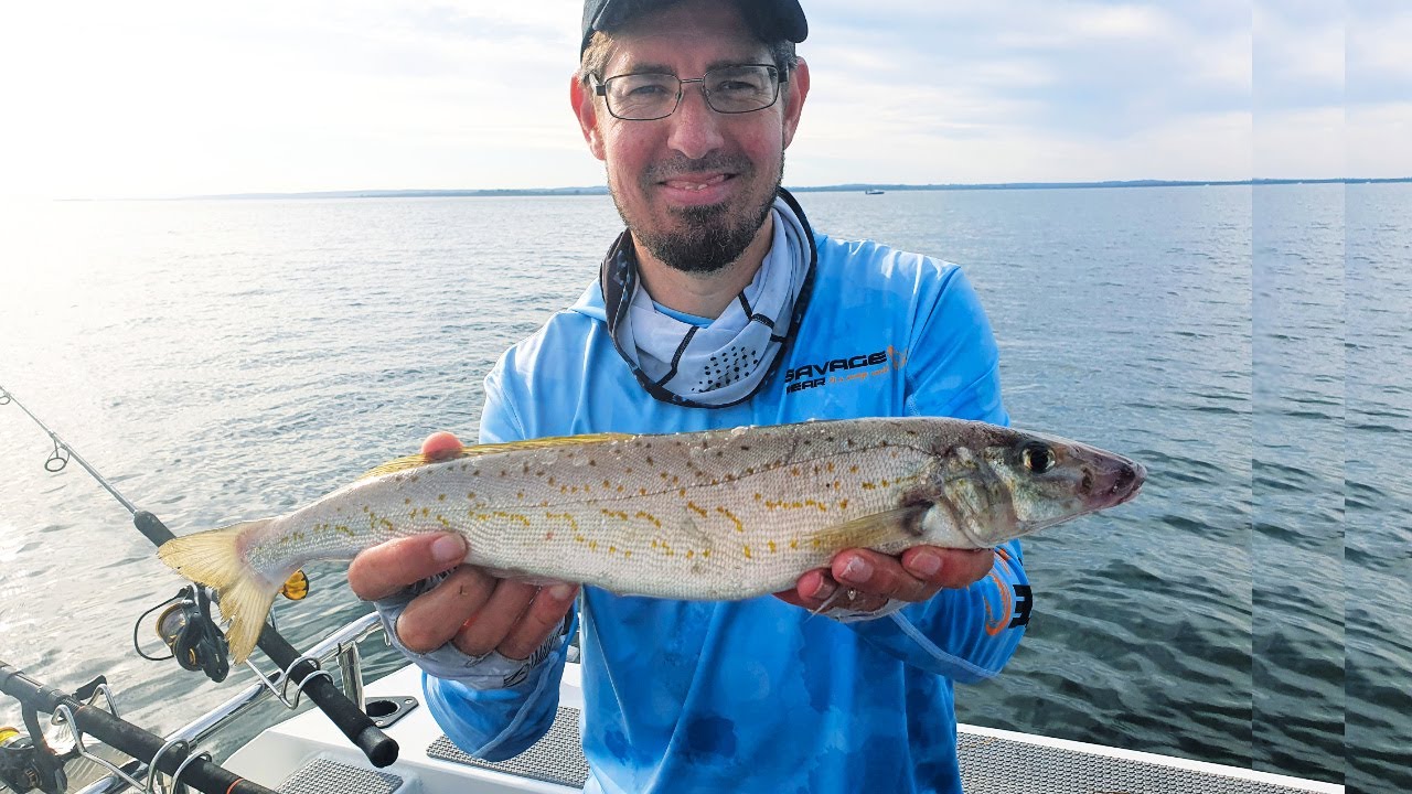 Western Port Whiting Fishing - Quest for the 50cm Whiting