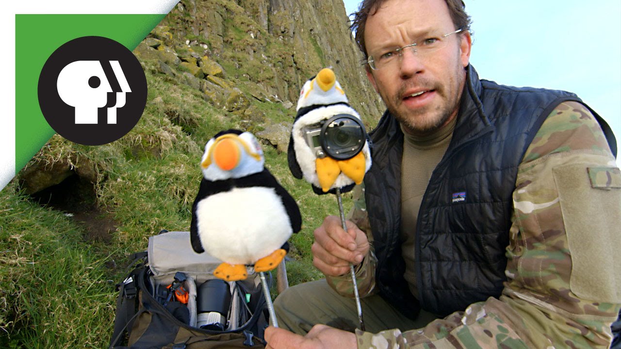 Behind the Scenes of NATURE 