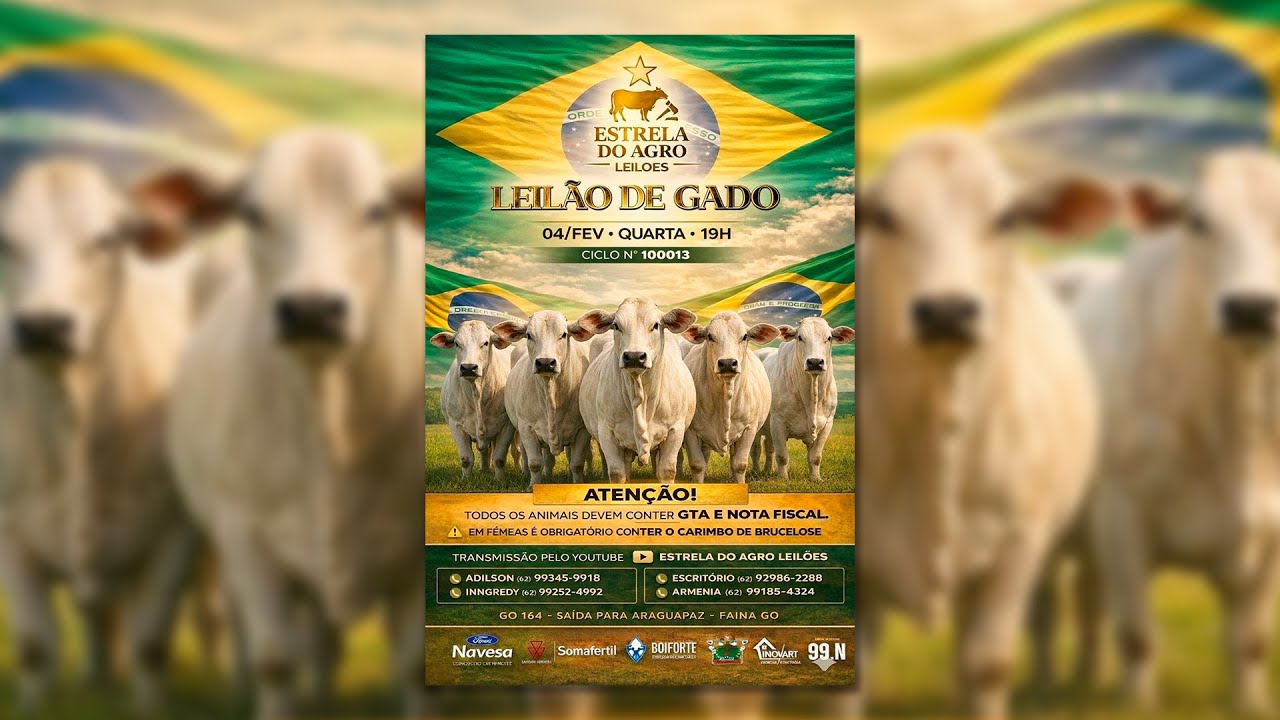 LEILÃO GADO DE CORTE ESTRELA DO AGRO LEILÕES  FAINA-GO 04/02/2026 | Leilão ao Vivo - Leilão de Gado
