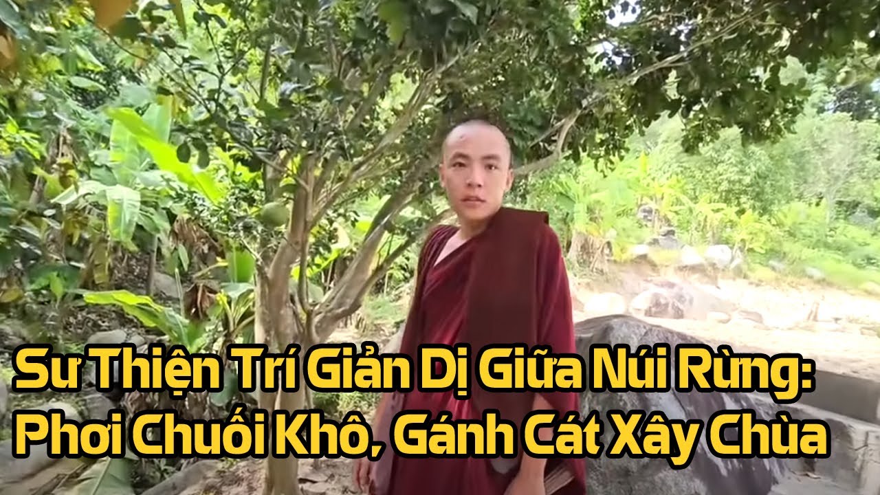 Sư Thiện Trí Giản Dị Giữa Núi Rừng Phơi Chuối Khô, Gánh Cát Xây Chùa