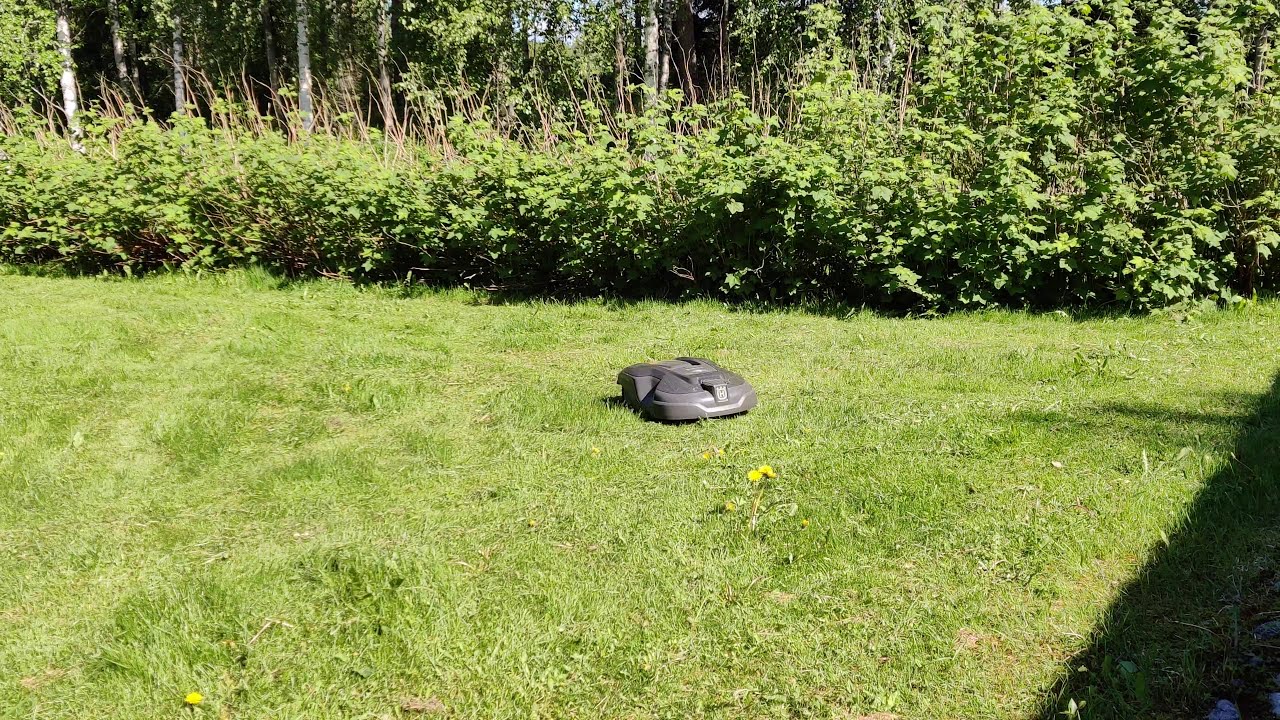 Husqvarna Automower 315 doing its job, mowing lawn