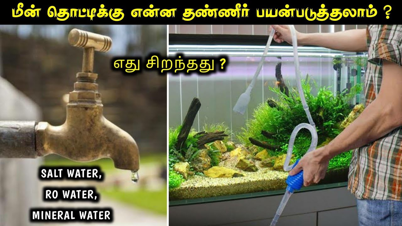 Best Water For Fish Tank | மீன் தொட்டிக்கு என்ன தண்ணீர் பயன்படுத்தலாம் | Cloning Aqua